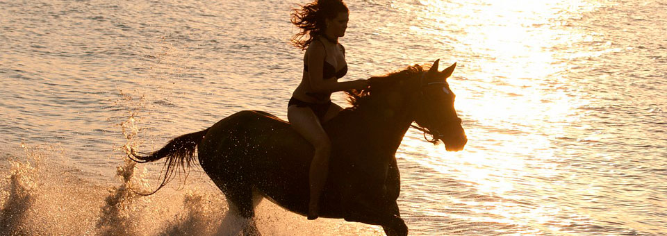 Незабываемые фотосессии...